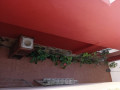 casa-o-chalet-independiente-en-venta-en-buen-paso-la-mancha-small-17