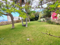 casa-o-chalet-independiente-en-venta-en-icod-de-los-vinos-small-20