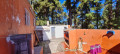 finca-rustica-en-venta-en-el-reventon-sn-small-4