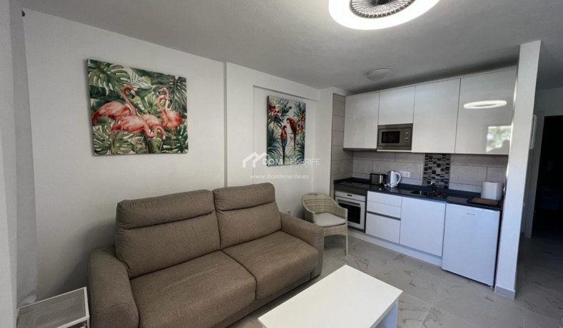 ref-np06052301-flat-month-adeje-playa-de-las-americas-big-4