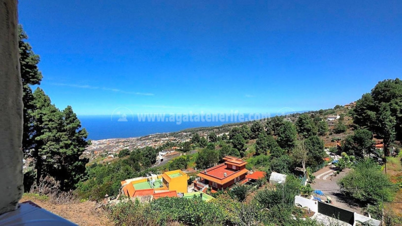 finca-rustica-en-venta-en-la-vega-el-amparo-cueva-del-viento-big-20