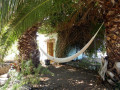 finca-rustica-en-venta-en-santa-barbara-la-florida-small-7