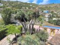 casa-o-chalet-independiente-en-venta-en-la-vega-el-amparo-cueva-del-viento-small-4