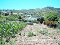 finca-rustica-en-venta-en-la-vega-el-amparo-cueva-del-viento-small-5