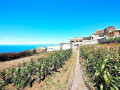 finca-rustica-en-venta-en-la-vega-el-amparo-cueva-del-viento-small-4