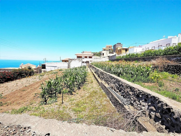 finca-rustica-en-venta-en-la-vega-el-amparo-cueva-del-viento-big-3