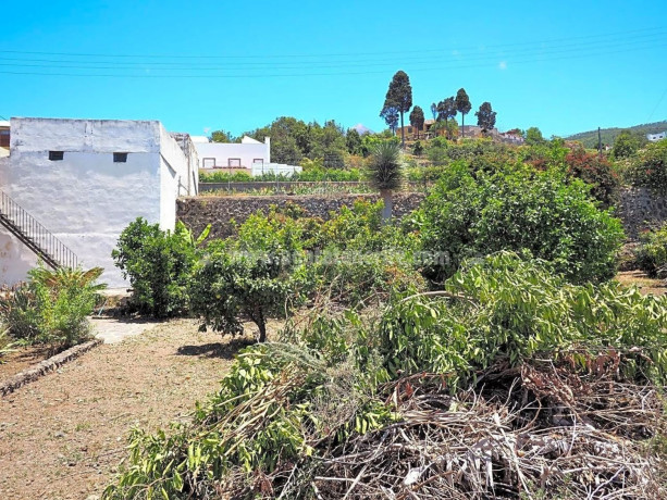 finca-rustica-en-venta-en-la-vega-el-amparo-cueva-del-viento-big-6