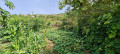 finca-rustica-en-venta-en-la-vega-sn-small-19