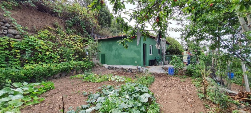 finca-rustica-en-venta-en-la-vega-sn-big-0