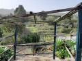 finca-rustica-en-venta-en-la-vega-el-amparo-cueva-del-viento-small-21