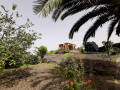 finca-rustica-en-venta-en-la-vega-el-amparo-cueva-del-viento-small-1