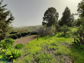 finca-rustica-en-venta-en-la-vega-el-amparo-cueva-del-viento-small-29