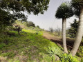 finca-rustica-en-venta-en-la-vega-el-amparo-cueva-del-viento-small-24