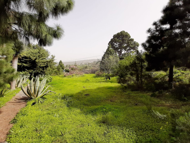 finca-rustica-en-venta-en-la-vega-el-amparo-cueva-del-viento-big-26