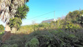 finca-rustica-en-venta-en-la-vega-el-amparo-cueva-del-viento-small-1