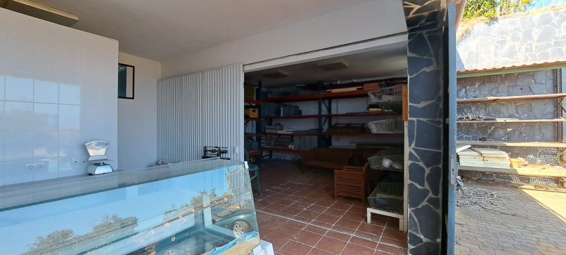 finca-rustica-en-venta-en-calle-cruz-de-tagoro-58-big-21