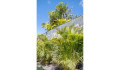 ref-ngc05042302-villa-sale-adeje-la-caleta-small-21