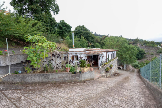 finca-rustica-en-venta-en-la-perdoma-san-antonio-benijos-big-24