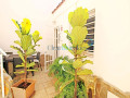 piso-en-venta-en-calle-alemania-small-9