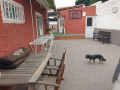 casa-o-chalet-independiente-en-venta-en-calle-drago-small-8