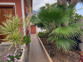 casa-o-chalet-independiente-en-venta-en-calle-drago-small-14