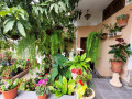 casa-o-chalet-independiente-en-venta-en-barranco-hondo-small-8