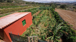 Finca rústica en venta en camino las Galeras s/n