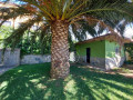 casa-o-chalet-independiente-en-venta-en-la-esperanza-llano-del-moro-small-29