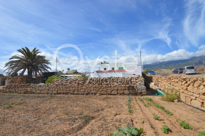 finca-rustica-en-venta-en-arico-big-27