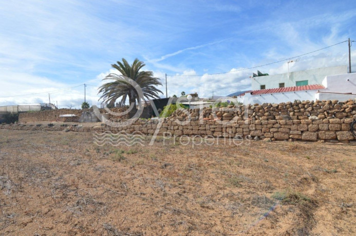 finca-rustica-en-venta-en-arico-big-1