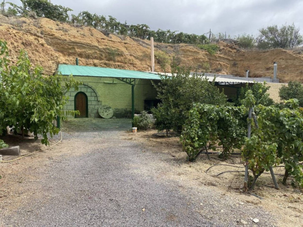 finca-rustica-en-venta-en-arico-big-6