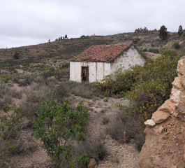 Cortijo en venta en calle Icor