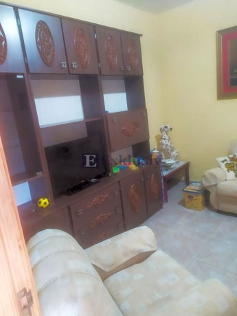 casa-o-chalet-independiente-en-venta-en-arico-big-7