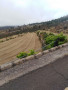 finca-rustica-en-venta-en-los-jorge-2-small-4