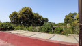 finca-rustica-en-venta-en-sauzal-small-19