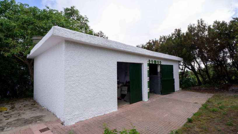 finca-rustica-en-venta-en-camino-a-la-babosera-5-big-16