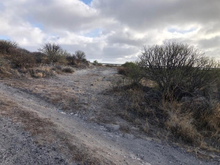 Parcela Rústica en la subida de El Tablado a El Escobonal, Güimar