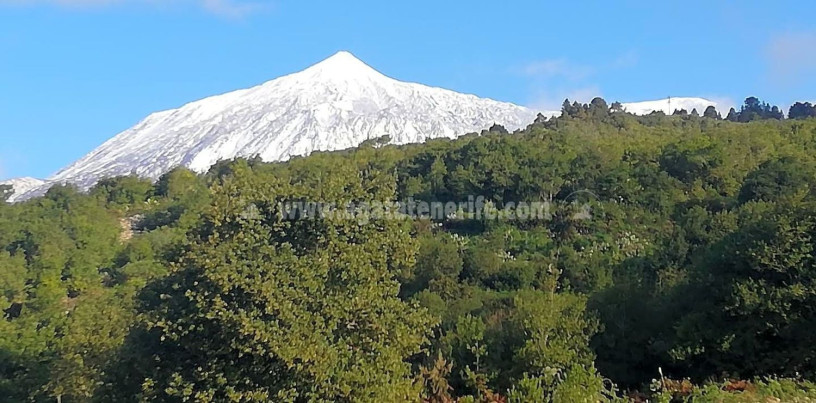 masia-en-venta-en-la-vega-el-amparo-cueva-del-viento-big-7