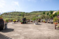 finca-rustica-en-venta-en-la-vega-el-amparo-cueva-del-viento-small-8