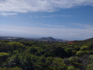 Finca rústica en venta en San Miguel de Abona