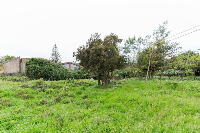 finca-rustica-en-venta-en-avenida-oriente-big-14