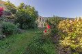 finca-rustica-en-venta-en-camino-atravesado-15-small-8