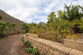 finca-rustica-en-venta-en-vilaflor-small-10