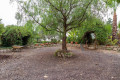 finca-rustica-en-venta-en-vilaflor-small-16