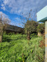 finca-rustica-en-venta-en-carretera-el-roquillo-small-6