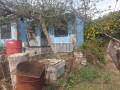 finca-rustica-en-venta-en-carretera-el-roquillo-small-16