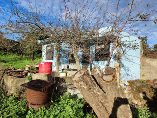 Finca rústica en venta en carretera El Roquillo