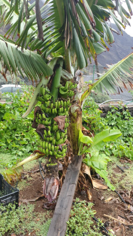 casa-rustica-en-las-playas-valeverde-isla-de-el-hierro-islas-canarias-big-12