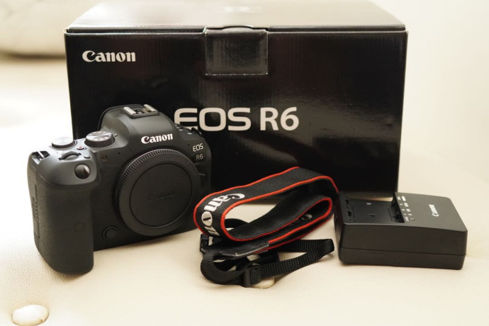 canon-eos-r6-mark-ii-canon-eos-r3-canon-eos-r5-canon-eos-r6-nikon-z9-nikon-z8-nikon-z-7ii-big-2