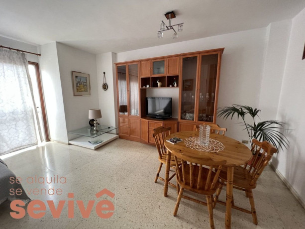 piso-en-venta-en-la-laguna-big-3